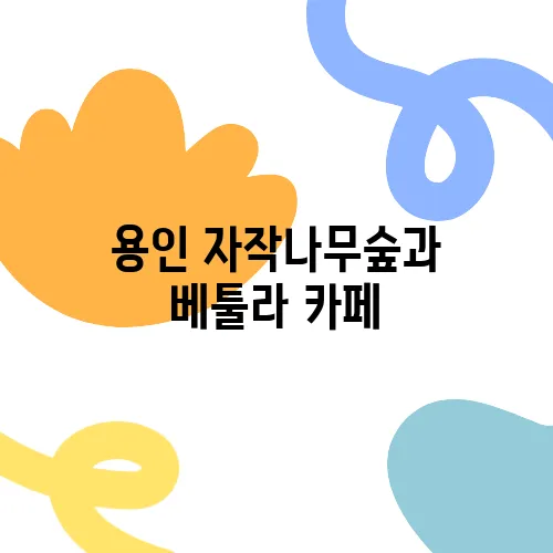 용인 자작나무숲과 베툴라 카페, 꼭 가봐야 할 명소입니다!