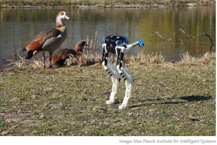 마치 타조 다리를 연상케 하는 에너지 효율 뛰어난 버드봇 VIDEO: Scientists Construct Energy-Efficient BirdBot