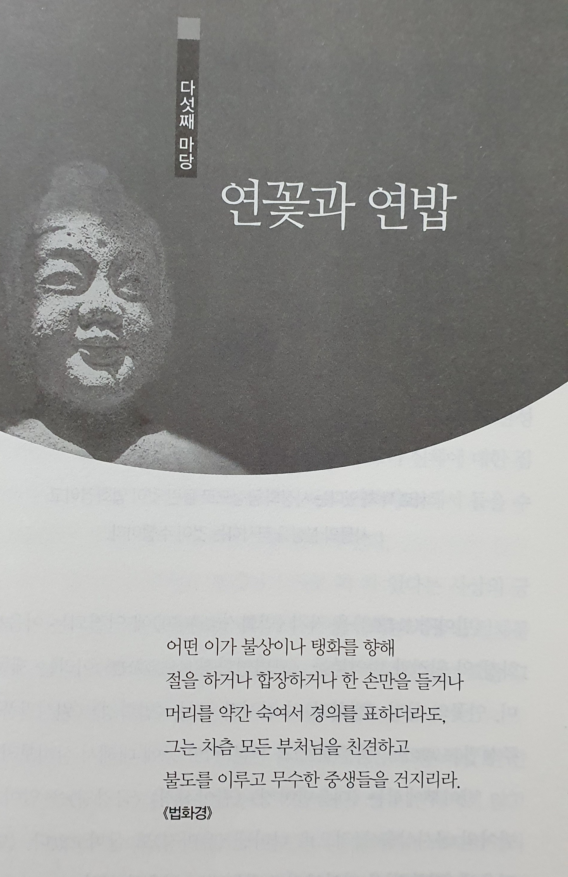 img.jpg