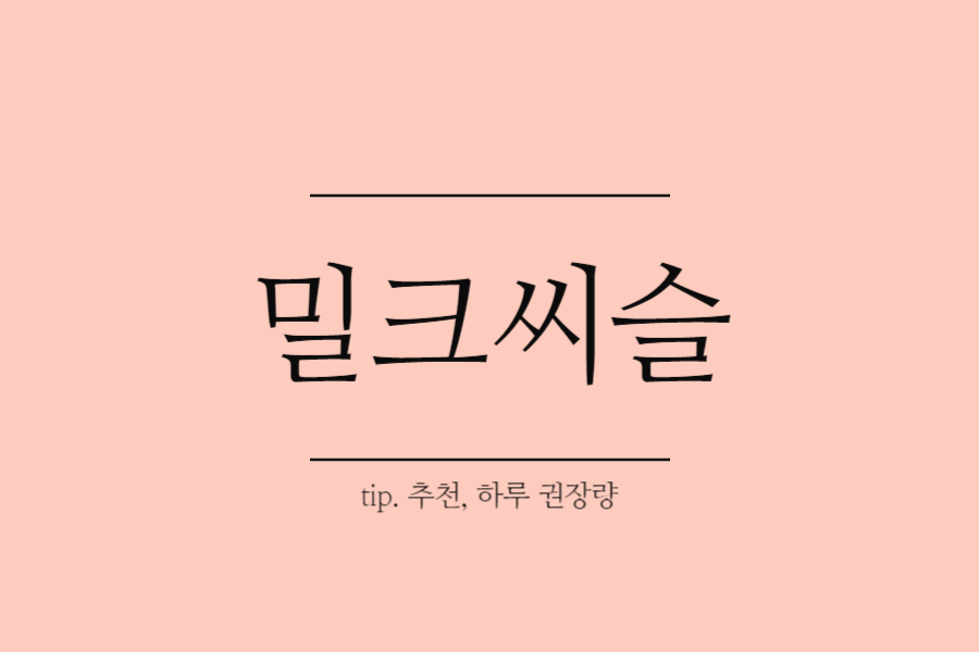 밀크씨슬 추천-밀크씨슬 하루 권장량-밀크씨슬 효능-밀크씨슬 복용법