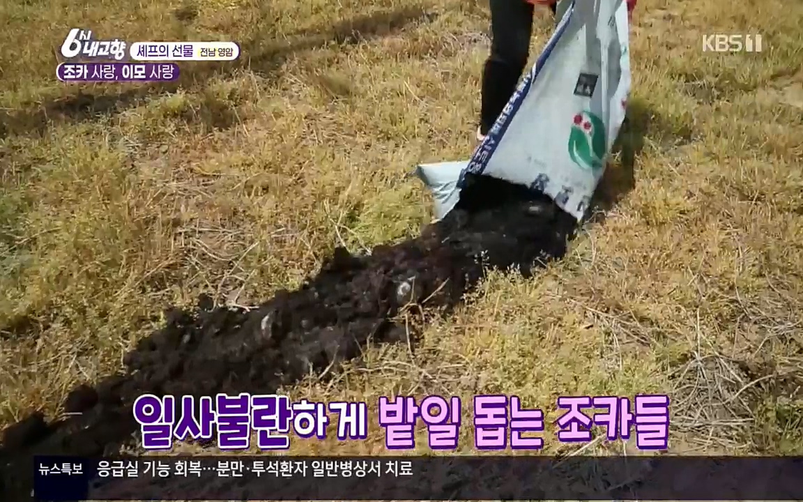 6시 내고향.E7512.220416p.H264-F1RST.mp4_20220502_193511.385.jpg