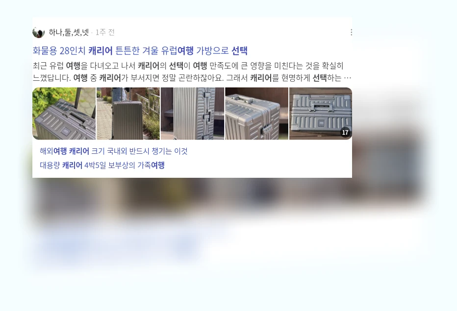 여행 캐리어 선택_2_subsection