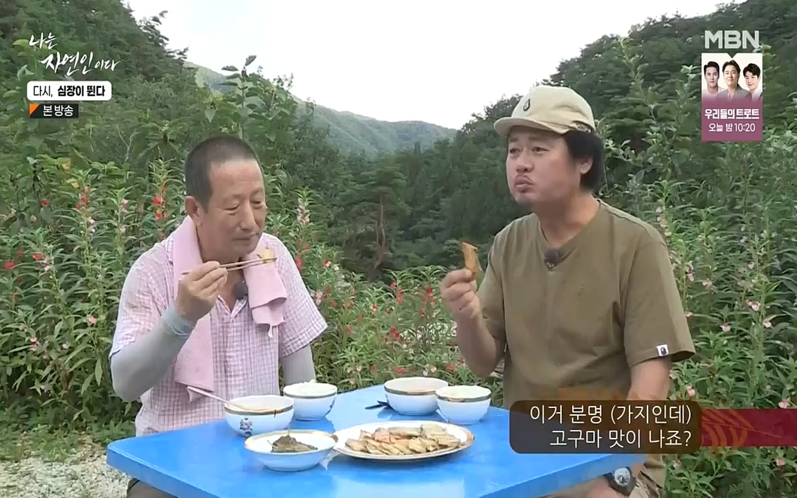 나는 자연인이다.E519.220915p-NEXT.mp4_20220915_201153.046.jpg