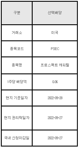 미국주식 선택배당 안내 PSEC