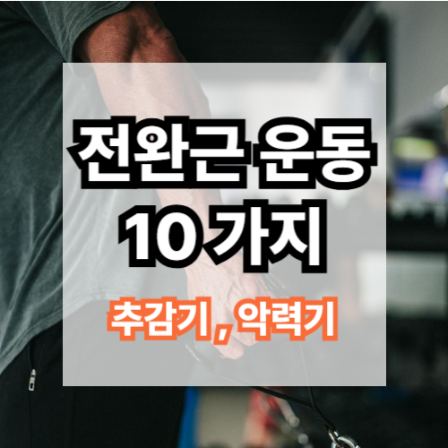 손목 강화 운동 종류