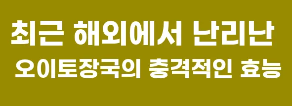 최근 해외에서 난리난 오이토장국의 충격적인 효능
