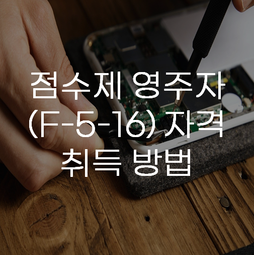 F-5비자