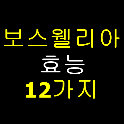  보스웰리아 효능 12가지