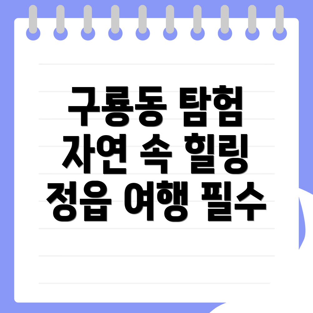 구룡동 여행