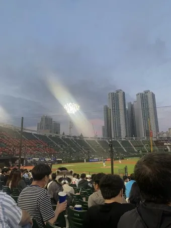 무릎쓰고 무릅쓰고 맞춤법 맞는 표현 예시_15