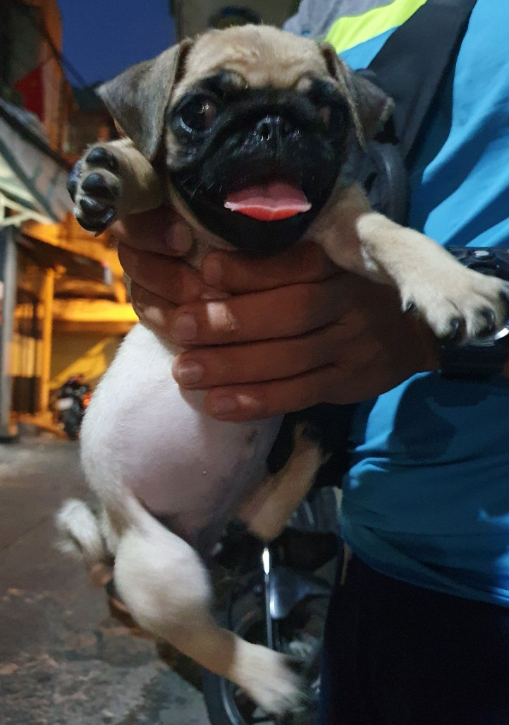 헬로쇼핑 이미지