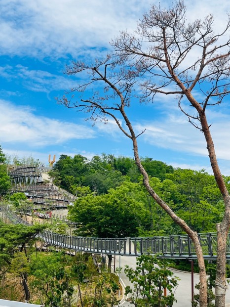 애기봉 평화생태공원