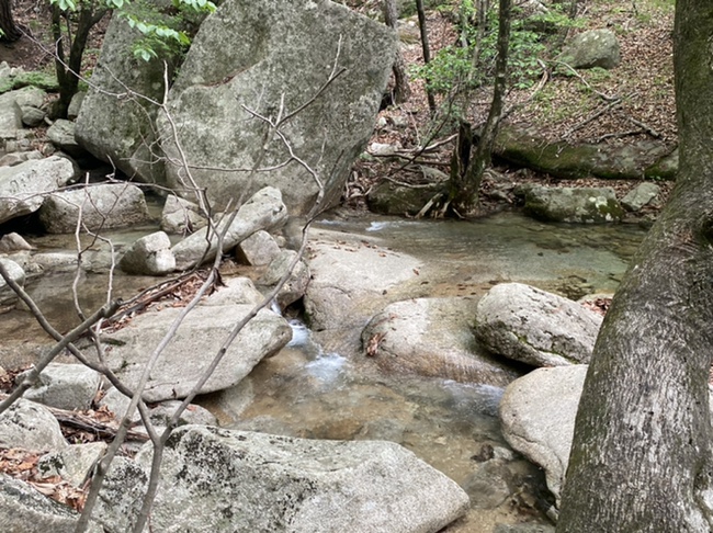 여름산으로 추천하는 괴산 칠보산(778m) 숲속을 거니는 듯 시원해 18