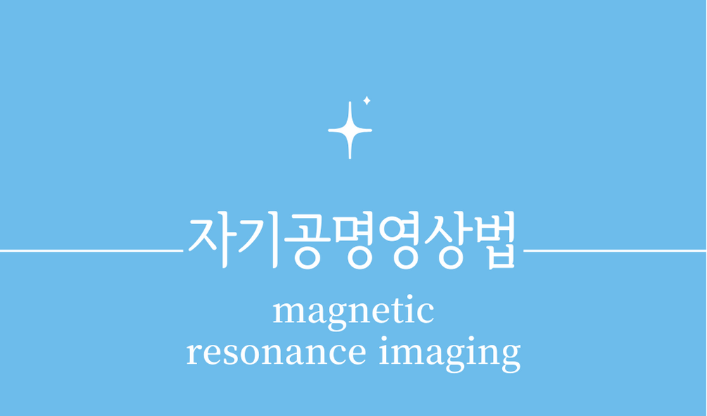 &#39;자기공명영상법(MRI&#44;magnetic resonance imaging)&#39;