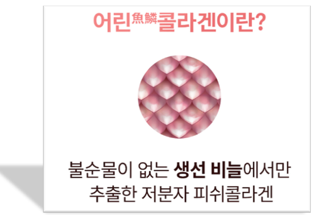  어린 콜라겐 가격 효능 총정리