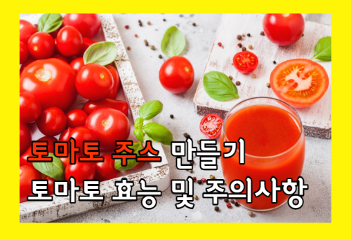 토마토 주스 만들기 및 토마토 효능 10가지와 주의점