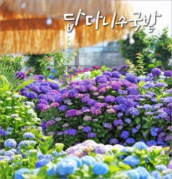 6월 제주도 가볼만한곳 10선 숨은 명소 맛집 코스_12