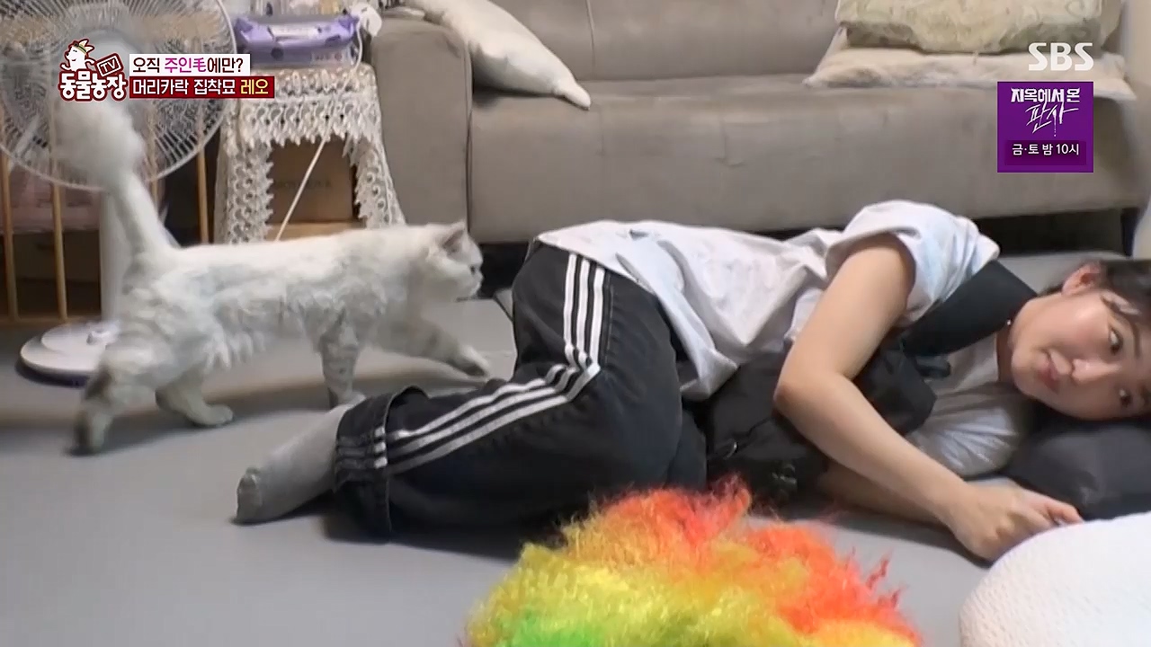 TV 동물농장 1189화 다시보기.ts_20240922_161942.433.jpg