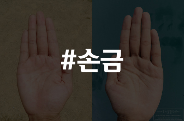  여자손금보는법 : 나는 부자손금일까?