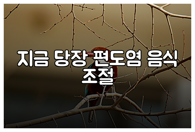 지금 당장 편도염 음식 조절