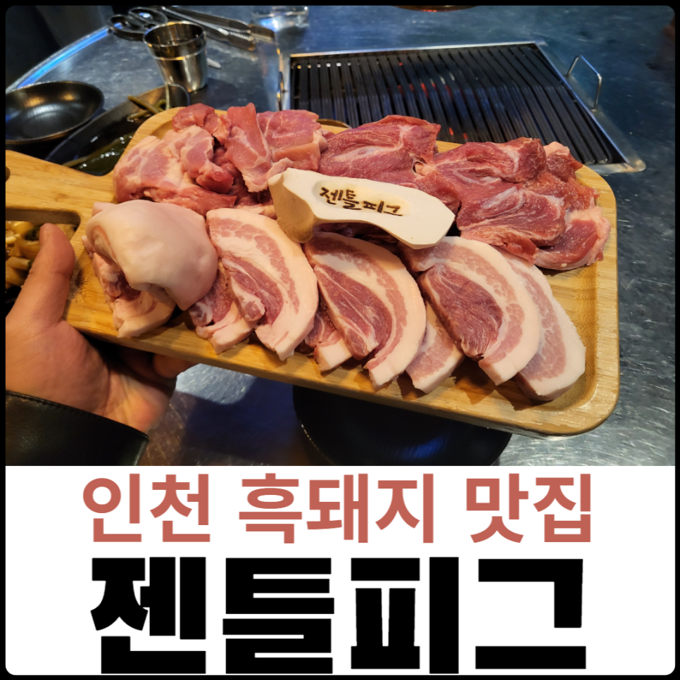 무한돼지 이미지