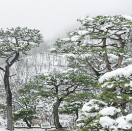 화담숲 예약방법