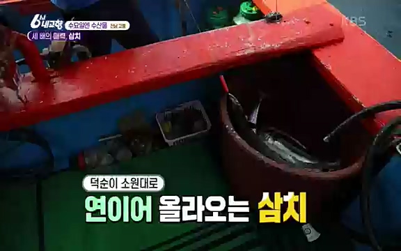 220815_발길따라 고향 기행.ts_20220823_181509.920.jpg