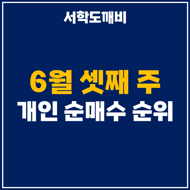  6월 셋째주 개인 투자자 순매수 상위 주식