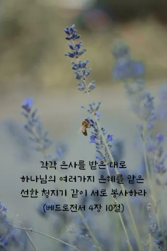 베드로전서 4장 청지기의 비유 성경 묵상_25