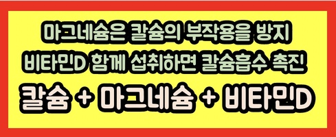  쏜리서치 칼슘 마그네슘 영양제 효능과 부작용