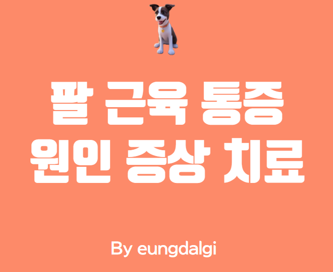  팔근육 통증: 원인, 증상, 예방 및 치료 방법