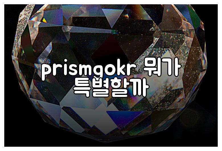 prismgokr 뭐가 특별할까