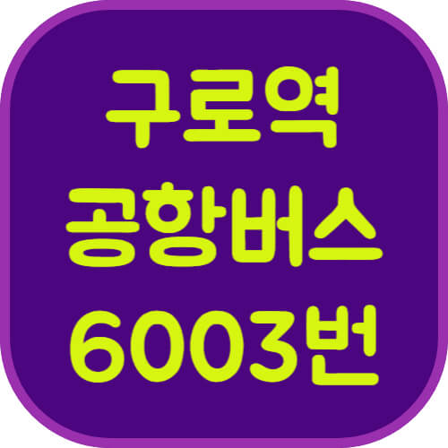 구로역-6003번-공항버스-이미지