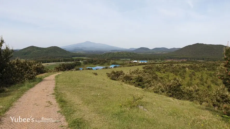 제주 오름 아부오름 정상 분화구 탐방로