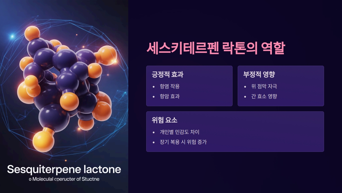 왕고들빼기 부작용