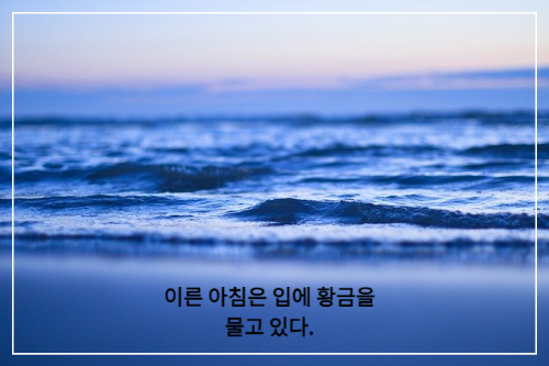파란색 바다 물결
