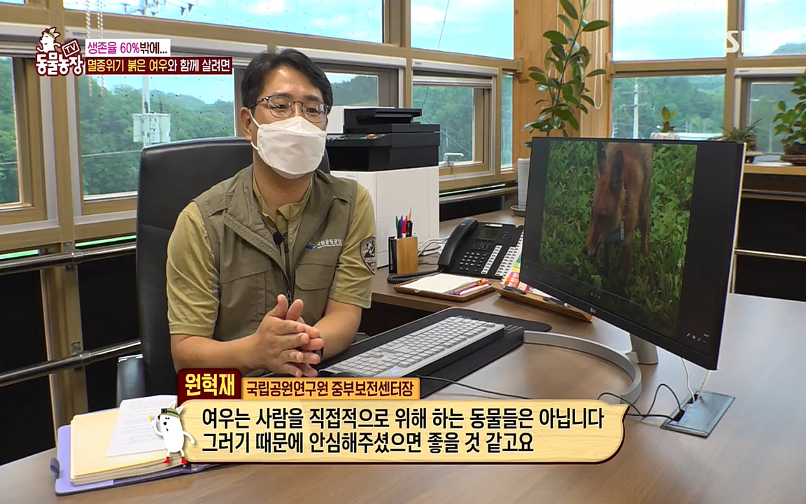 TV 동물농장.E1079.220725p-NEXT.mp4_20220724_151958.117.jpg