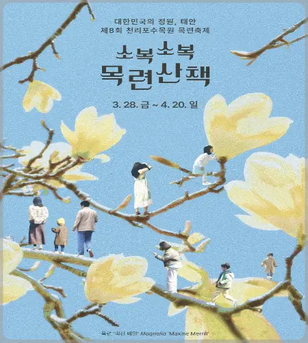 천리포수목원 목련축제_5