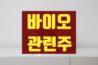 제약바이오 대장주 관련주 TOP5_19