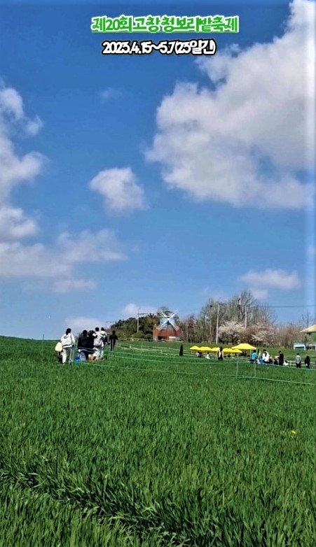 청보리축제_2023 고창청보리밭축제 4