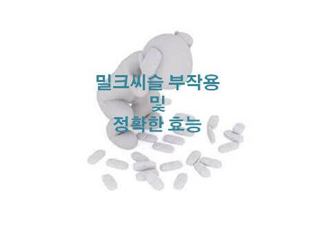 밀크씨슬 부작용 복용주의사항 정확한효능