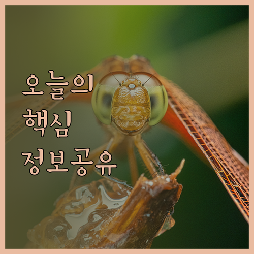 하노이 럭셔리 호텔 추천! 페리도트 