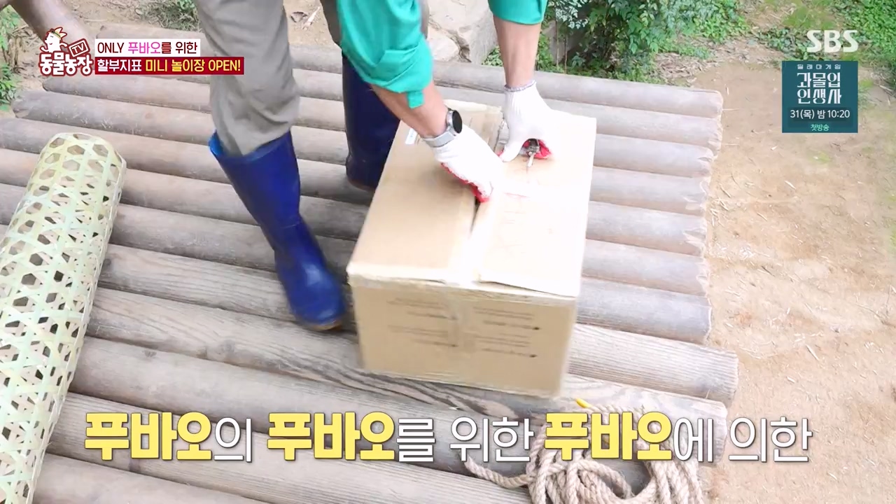 TV 동물농장.E1134.230821p-NEXT.mp4_20230820_193343.684.jpg