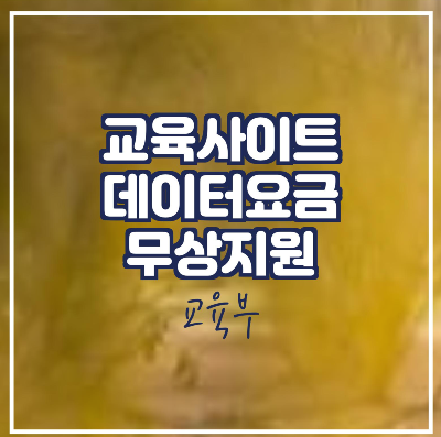  주요 교육 사이트 연말까지 무료