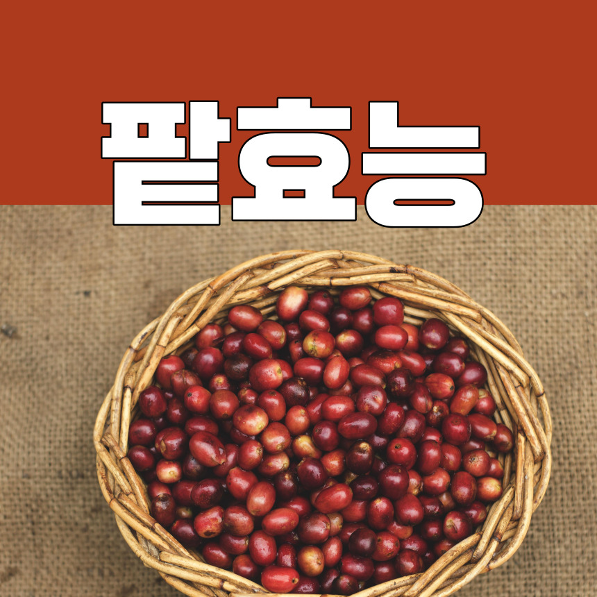 팥효능