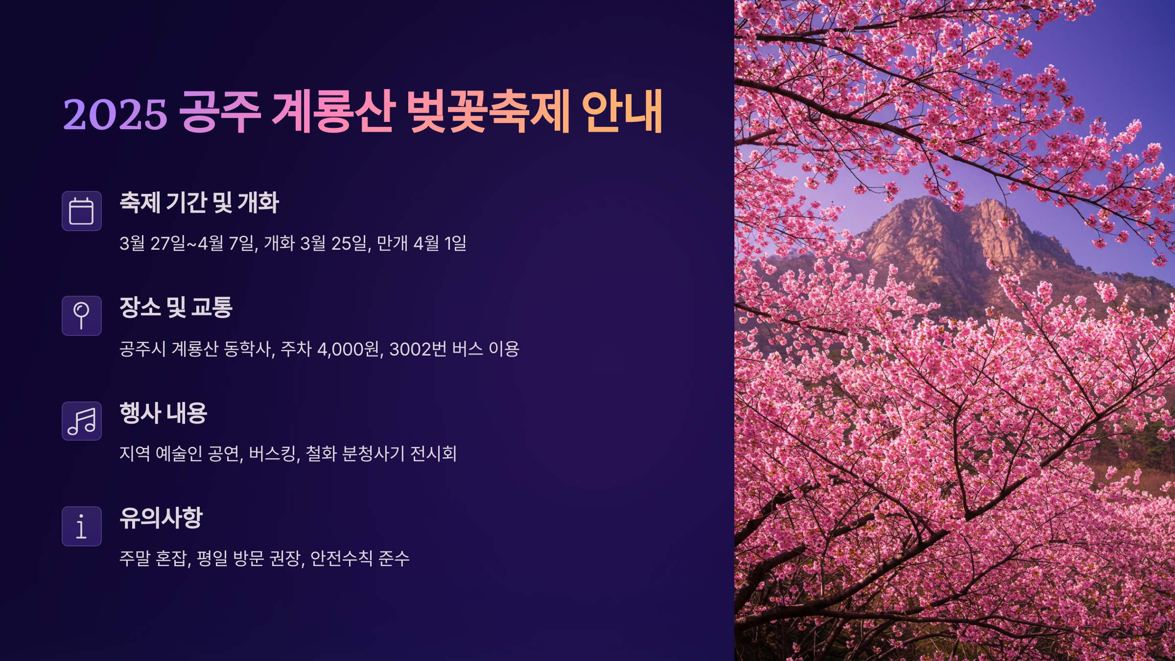 2025 계룡산 벚꽃축제 일정과 교통 안내