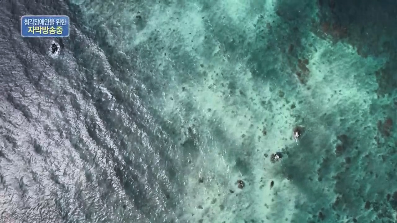 다큐 On.E221.231030p.H264-F1RST.mp4_20231031_202723.896.jpg