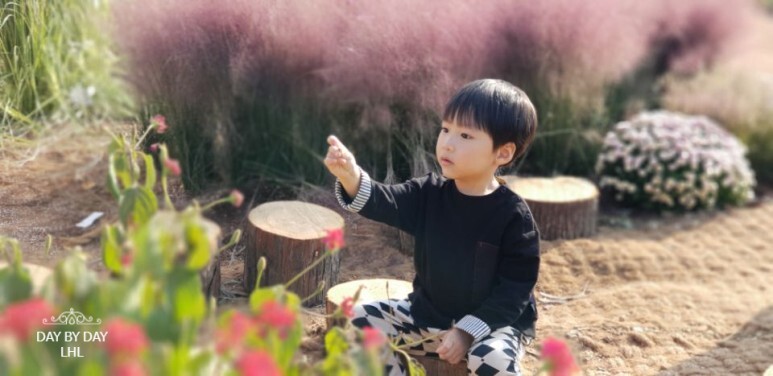 힐링개발 이미지