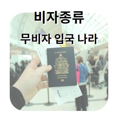 다양한 비자종류와 비자 없이 갈수있는 나라들 알아보기