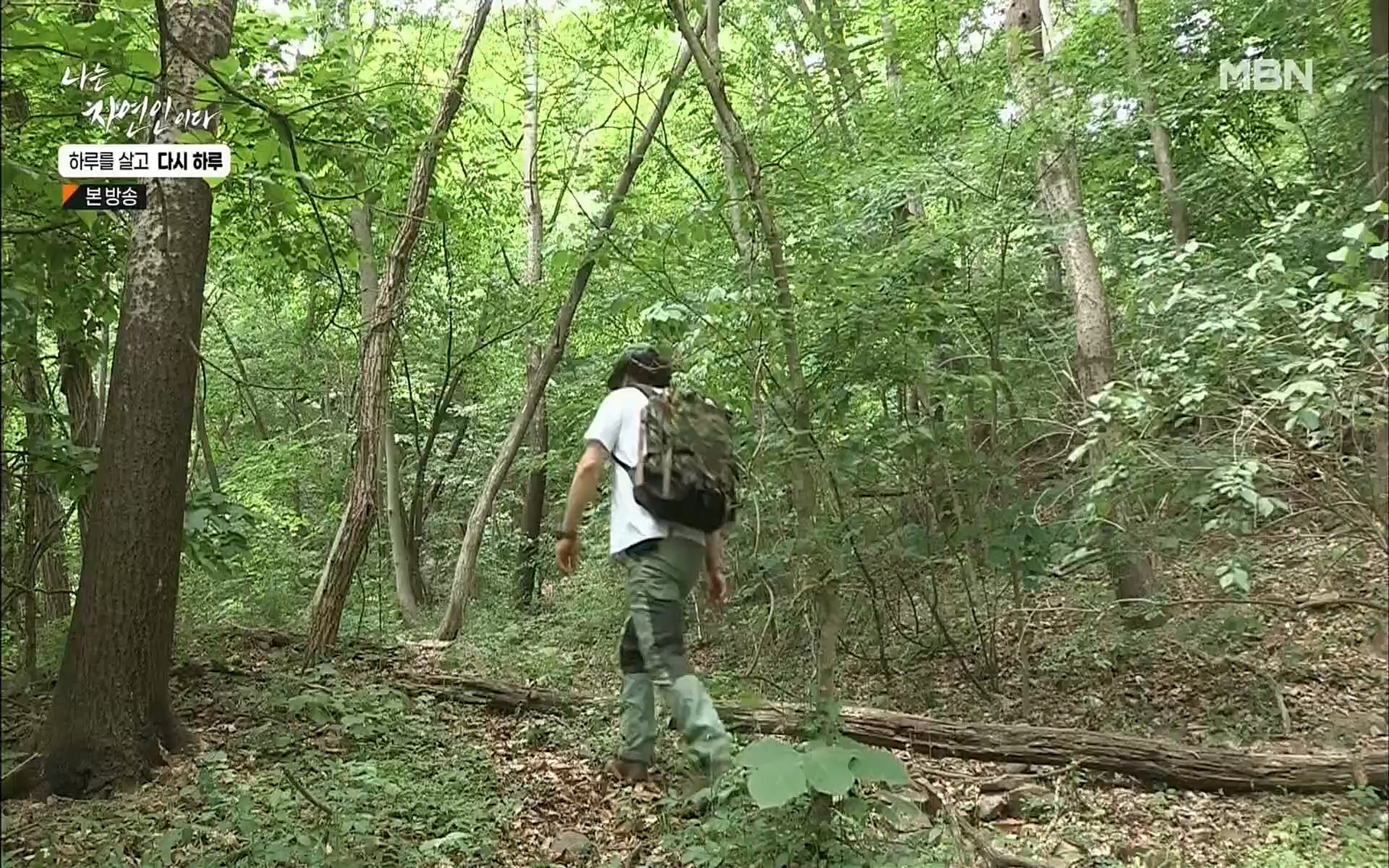 나는 자연인이다.E509.220706p.H264-F1RST.mp4_20220707_183720.072.jpg
